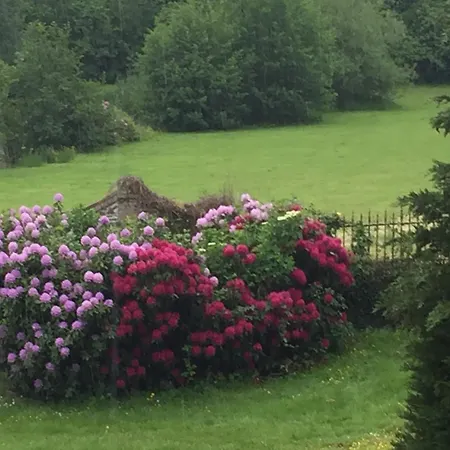 Gasthof Manoir De La Queue Du Renard