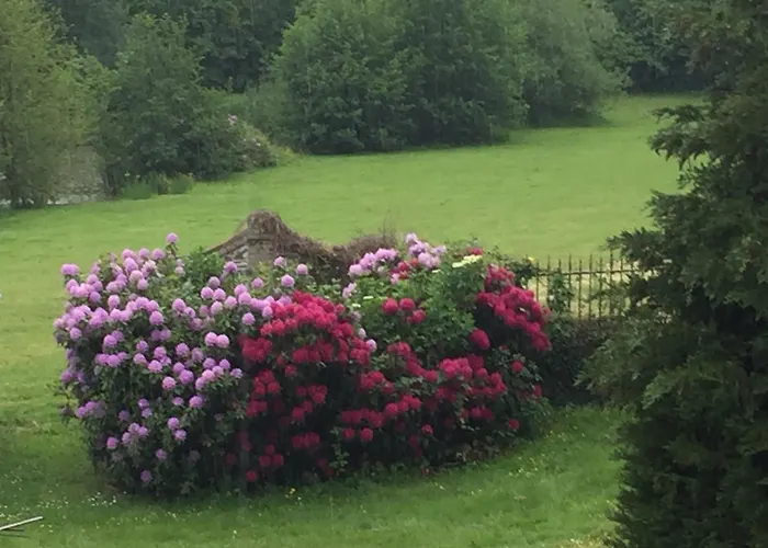 Pensjonat Manoir De La Queue Du Renard